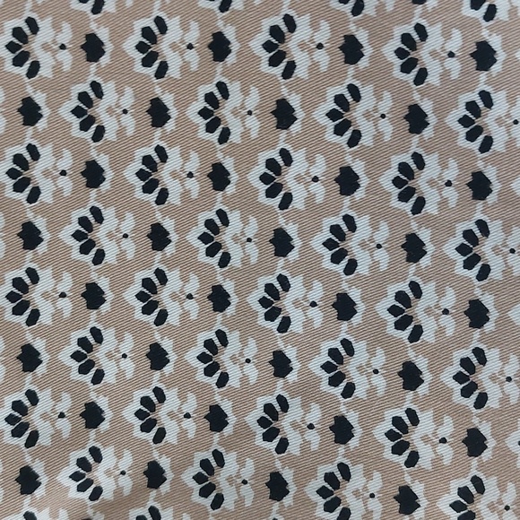 Ann Taylor Shorts - Picture 3 of 4